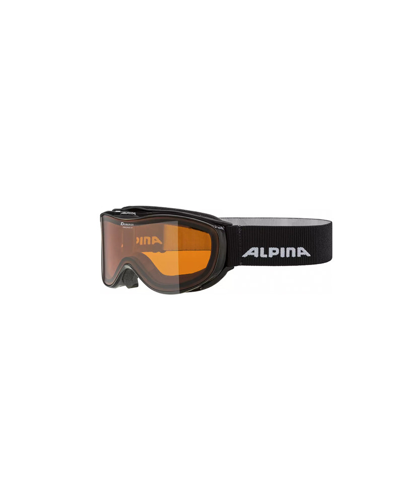 Ski Goggles